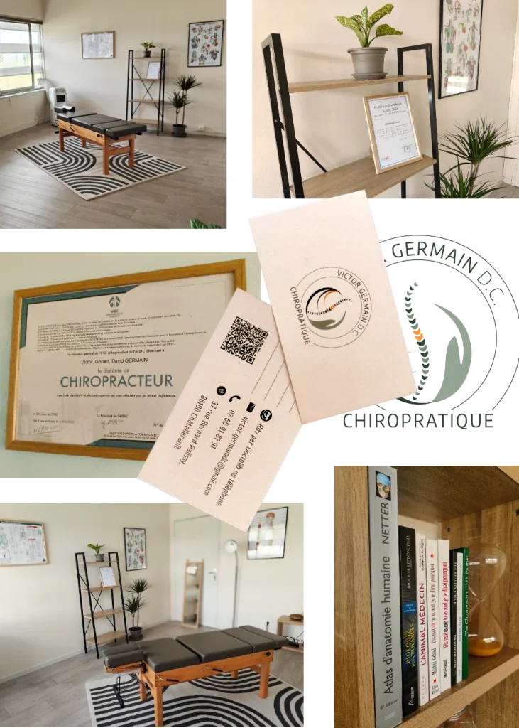 Cabinet de Chiropraxie à Châtellerault (86100) Victor Germain, chiropracteur